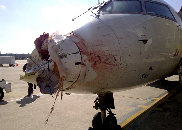 ASA 5087 CRJ Bird Strike Damage